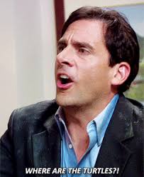 Https Encrypted Tbn0 Gstatic Com Images Q Tbn 3aand9gctsl9ec7dm1zpgp5yyd5nrkk2qd9o5krzx Hq Usqp Cau