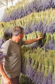 Free delivery when you spend over £40. Dried Lavender On Thursd