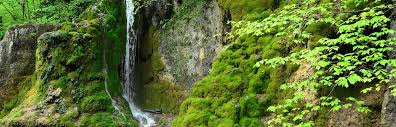 10 Great Reasons To Get Outside More Often Get Outside The Great Outdoors Scenery