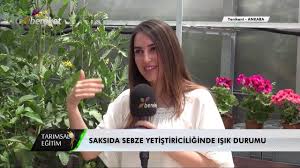 Saksida Sebze Yetistiriciligi Aksel Bahce Playlist People