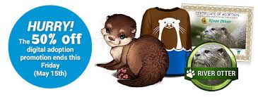 If you are still not convinced it is a bad idea, then you may want to know about the specific care they need to develop healthily in captivity. Eco Activity 35 You Otter Meet Our Next Animal Of The Week Earth Rangers Where Kids Go To Save Animals