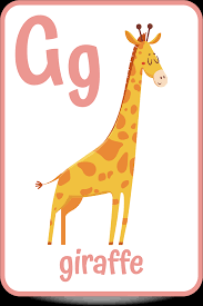 Baby sharks are called pups, baby kangaroos are called joeys. Words That Start With The Letter G Kids Activities Blog