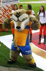 Maybe you would like to learn more about one of these? Fotos Conoce Las Mascotas De Los Clubes De La Liga Mx