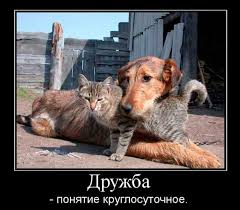 У каждого человека есть друг, во всяком случае, хочется в это верить. Foto S Dnem Druzej Prikolnye
