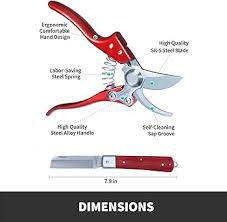 Amazon.com : VANNECT Bypass Pruning Shears, Professional Sharp Garden  Shears, Hand Pruner，Tree Trimmers Secateurs, One-Hand Safety Lock, Grafting  Knife Included (Upgraded) : Patio, Lawn & Garden