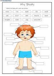 Students begin by cutting out the head and torso pieces and pasting them and the smaller body parts in the proper location. Body Parts For Grade 1