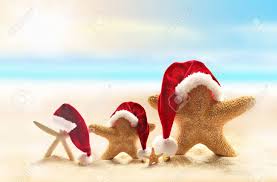 Raw pineapple with golden glitter. Starfish On Summer Beach And Santa Hat Merry Christmas Stock Photo Picture And Royalty Free Image Image 47665398