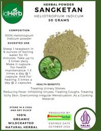 Image result for Heliotropium indicum