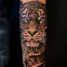 Aloha salt lake tattoos is a murray tattoo studio that has been in business since 2010. Tattoo Uploaded By Ben White Thai Tiger Arm 1533777 Tattoodo