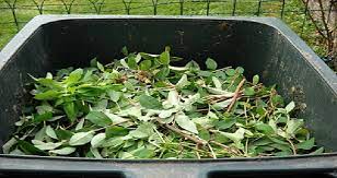 Check spelling or type a new query. What Can You Put In A Skip Waste Management