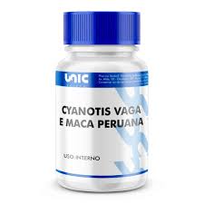 Image result for Cyanotis vaga