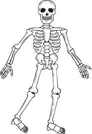 Make a coloring book with skeleton printable for one click. Skeleton Halloween Coloring Page 2 Free Halloween Coloring Pages Skeleton Coloring Pages For Kids Skeleton Coloring Pages