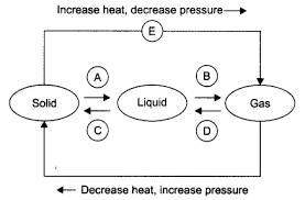 Ncert Solutions For Class 9 Science Chapter 1 Matter In Our Surroundings Ncertsolutionsforclass9science Matter Science Science Solutions