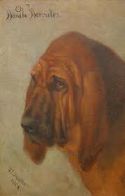755 likes · 43 talking about this. Bloodhound Wikiwand