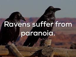 22 Disturbing Facts That Will Really Make You Think Raven Facts Scary Funny Creepy Facts
