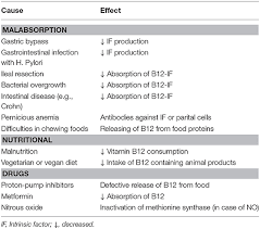 Maybe you would like to learn more about one of these? Frontiers Vitamin B12 Intake From Animal Foods Biomarkers And Health Aspects Nutrition