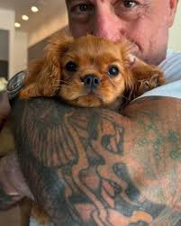 Tiger shark bites scuba diver's head in the Maldives (Exactly why you DON'T  scuba dive at a site called 'Shark Tank'!) A diver was bitten