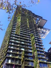 World Class Vertical Garden Design Central Sydney Landscape Design Vertical Garden Design Vertical Garden