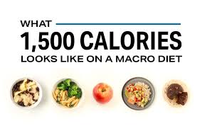 See more ideas about macro meals, macro, macro food photography. What 1 500 Calories Looks Like On A Macro Diet Nutrition Myfitnesspal