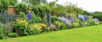 Long Border Dream Garden Garden Borders Garden Design