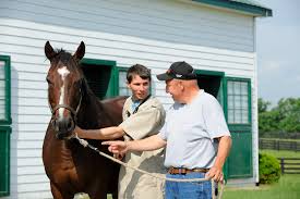 Barn owners, again, this should be required annually for every horse in the barn. Owner Vaccination Guidelines Aaep