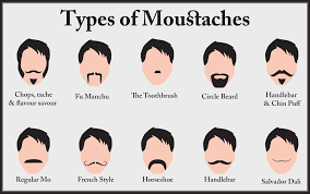 Mustach Types Chart Google Search Types Of Mustaches
