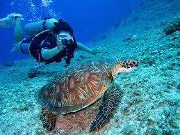 May 28, 2019 · karen's vacation gets even wilder (4.53) comfort zone keeps growing until she's forced to stay nude! Top 10 Reasons To Vacation In Turks And Caicos Caicos Dream Tours