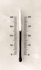 Resultat d'imatges de chema madoz obras maestras