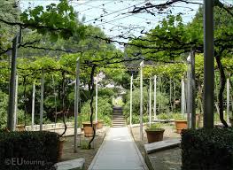 Jardin De La Treille B14 Dsc00979 Lrg Jpg 1600 1168 Jardins Toit Vegetal Image Jardin