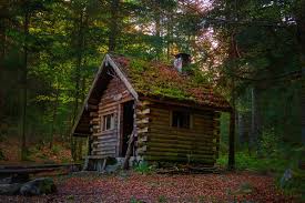 Wooden House In Forest Cabins In The Woods Little Cabin House In The Woods