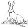 You can print or color them online at getdrawings.com for 304x392 best snowshoe images on winter activities, preschool. 3