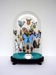 Cabinet De Curiosites Cabinet De Curiosite Globe En Verre Cloche En Verre Deco
