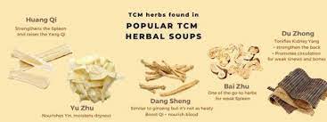 5 Popular Tcm Herbal Soups You Can Prepare At Home