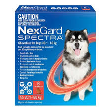 I have a company offer to start work in february. Nexgard Spectra For Dogs 30 1kg 60kg Petbarn