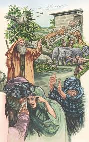 Pin On Noah And The Ark