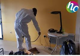 Les Punaises De Lit Hygiene Office