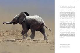 Planet Earth III by Matt Brandon, Michael Gunton | Waterstones