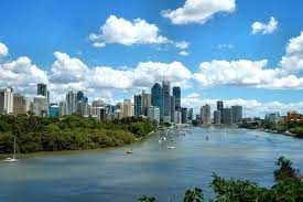 The last thing you want in your breezy coastal home is a pest infestation. Gold Coast Building Pest Pool Inspections Certification Icertified