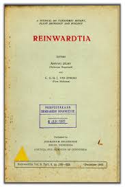 Image result for Crotalaria cleomifolia