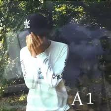 His birthday, what he did before fame, his family life, fun trivia facts, popularity rankings, and more. Every Nascar Aloe Song In Order By Lil Brick