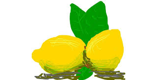 Lemon Drawing By Firsttry Drawize Gallery Draw a word and other players guess what the drawing is about. lemon drawing by firsttry drawize