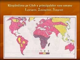 Enumera rasele umane ale terrei. Structura PopulaÅ£iei Prezentaciya Onlajn
