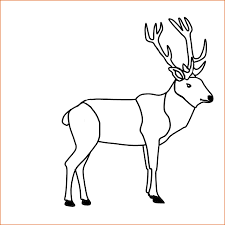 30 Hirsch Bilder Zum Ausdrucken Besten Bilder Von Ausmalbilder