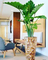 Best Design Decorationideas Interiordesign Green Home Design House Plants Decor Plant Decor Indoor House Plants Indoor