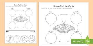 Large selection of free butterfly coloring pages from thebutterflysite.com! Butterfly Life Cycle Cut And Paste Activity Science Twinkl