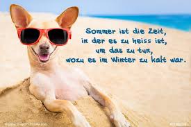 Sommer lustig witzig sprüche bild bilder hitze dicke kinder. Unser Spruch Des Tages Urlaubsreif Travelquotes Sommer Winter Hitze Lustig Regenwetter Lustig