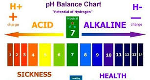 How Ph Levels Affect Your Skin And Acne Makeup For Oily