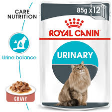 Nomnomnow is the new kitten on the block when it comes to quality pet food. Best Wet Food For Cats Pet Circle