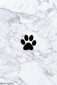 Dog bed for crates, carriers, sofa, and other pet homes; Dog Instagram Highlight Covers Novocom Top