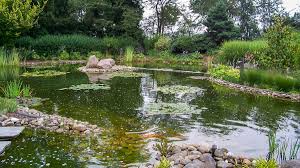 Alles rund um den professionellen teichbau. Teichfiltertechnik Und Brunnenpumpen Gartenbau Scheffel